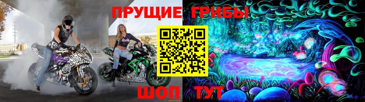 Галлюциногенные грибы мицелий  Вход с VPN  Карачаевск 