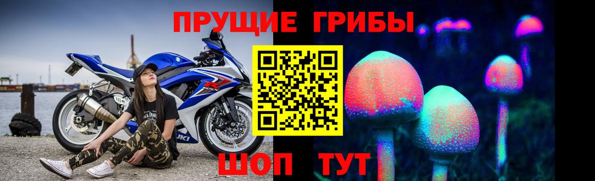 Псилоцибиновые грибы мухоморы Карачаевск
